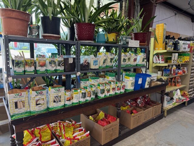 Seeds and garden supplies